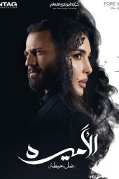The Princess: Shadow of A Wall 2025
