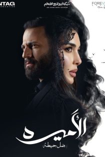 The Princess: Shadow of A Wall 2025